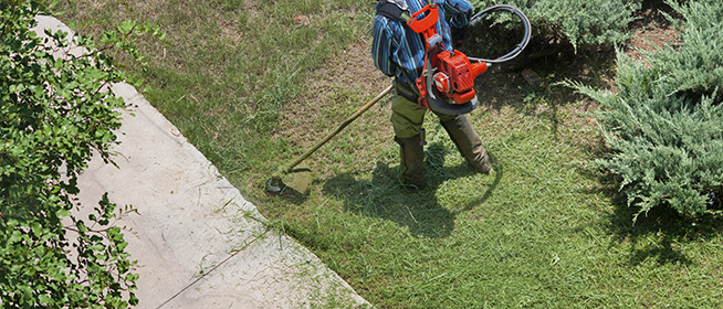 Weed Whacker